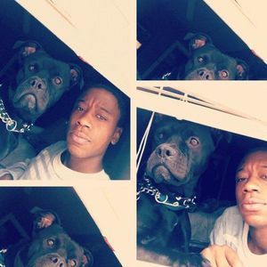 Meet your Posher, Adrian